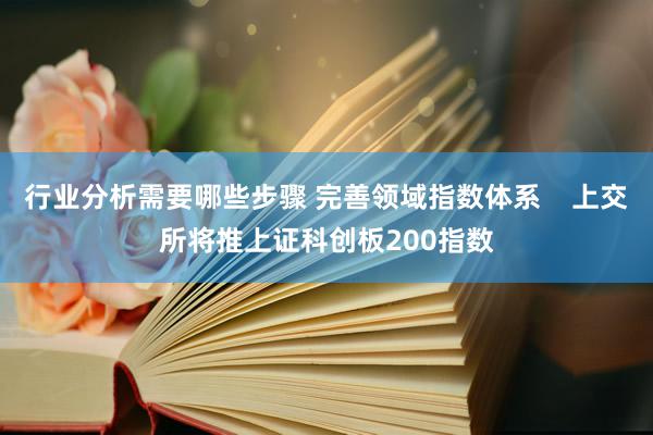 行业分析需要哪些步骤 完善领域指数体系    上交所将推上证科创板200指数