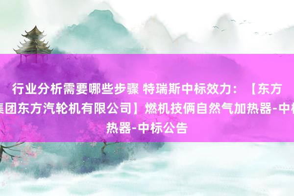 行业分析需要哪些步骤 特瑞斯中标效力：【东方电气集团东方汽轮机有限公司】燃机技俩自然气加热器-中标公告