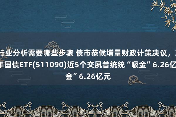 行业分析需要哪些步骤 债市恭候增量财政计策决议，30年国债ETF(511090)近5个交夙昔统统“吸金”6.26亿元