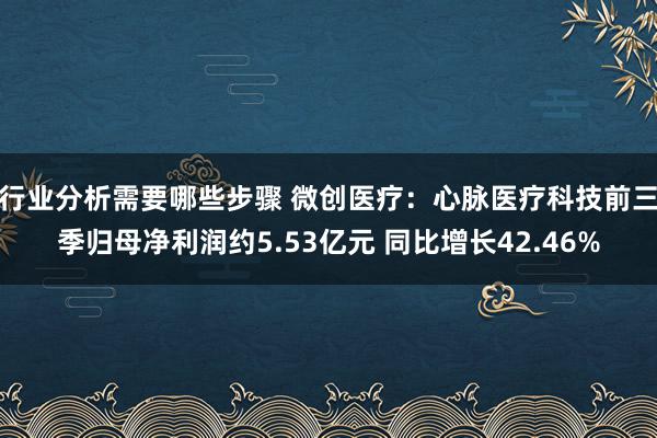 行业分析需要哪些步骤 微创医疗：心脉医疗科技前三季归母净利润约5.53亿元 同比增长42.46%