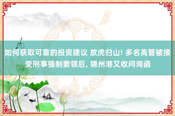 如何获取可靠的投资建议 放虎归山! 多名高管被接受刑事强制要领后, 锦州港又收问询函