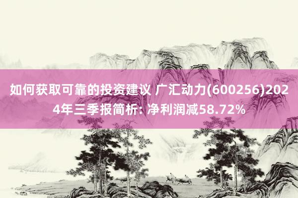 如何获取可靠的投资建议 广汇动力(600256)2024年三季报简析: 净利润减58.72%