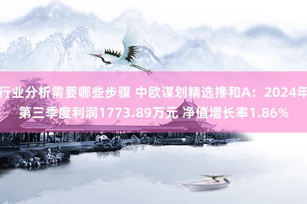 行业分析需要哪些步骤 中欧谋划精选搀和A：2024年第三季度利润1773.89万元 净值增长率1.86%