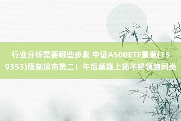 行业分析需要哪些步骤 中证A500ETF景顺(159353)限制深市第二！午后颠簸上扬不竭领跑同类