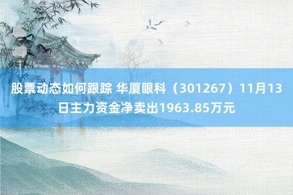 股票动态如何跟踪 华厦眼科（301267）11月13日主力资金净卖出1963.85万元