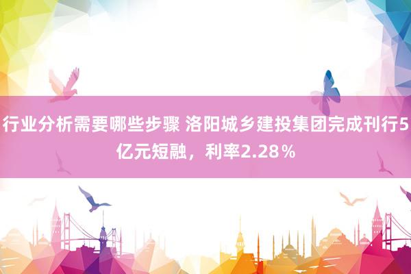 行业分析需要哪些步骤 洛阳城乡建投集团完成刊行5亿元短融，利率2.28％