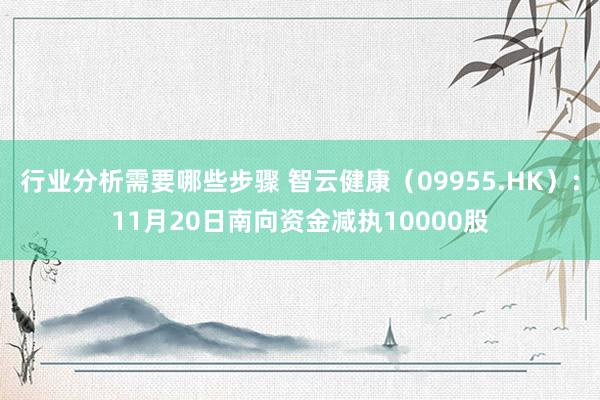 行业分析需要哪些步骤 智云健康（09955.HK）：11月20日南向资金减执10000股