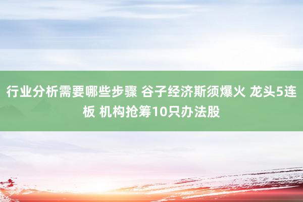 行业分析需要哪些步骤 谷子经济斯须爆火 龙头5连板 机构抢筹10只办法股