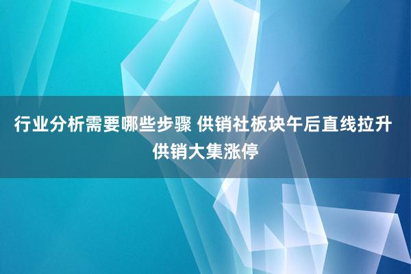 行业分析需要哪些步骤 供销社板块午后直线拉升 供销大集涨停