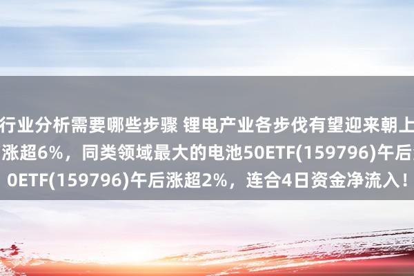 行业分析需要哪些步骤 锂电产业各步伐有望迎来朝上拐点，三花智控盘中涨超6%，同类领域最大的电池50ETF(159796)午后涨超2%，连合4日资金净流入！