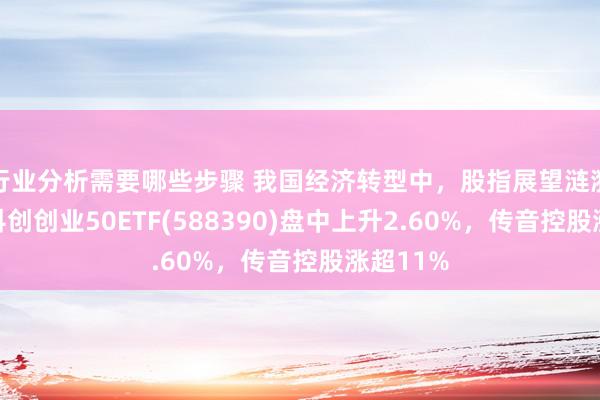 行业分析需要哪些步骤 我国经济转型中，股指展望涟漪上行，科创创业50ETF(588390)盘中上升2.60%，传音控股涨超11%