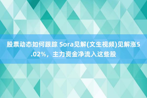 股票动态如何跟踪 Sora见解(文生视频)见解涨5.02%，主力资金净流入这些股