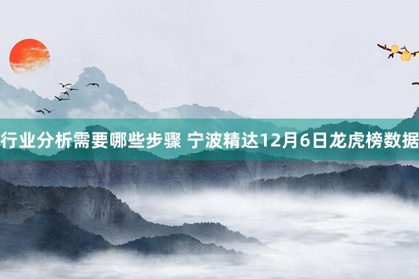 行业分析需要哪些步骤 宁波精达12月6日龙虎榜数据