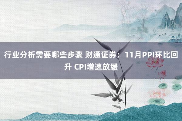 行业分析需要哪些步骤 财通证券：11月PPI环比回升 CPI增速放缓