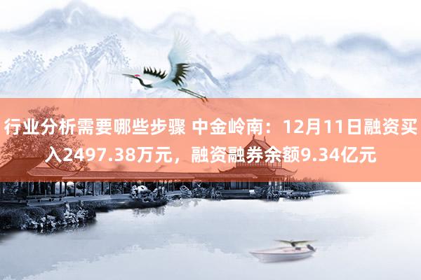 行业分析需要哪些步骤 中金岭南：12月11日融资买入2497.38万元，融资融券余额9.34亿元