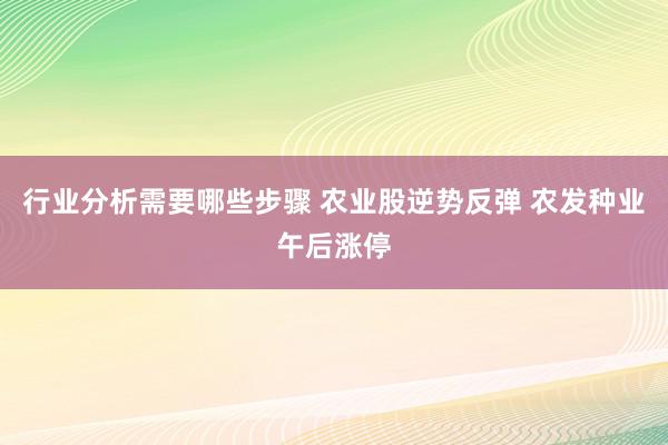 行业分析需要哪些步骤 农业股逆势反弹 农发种业午后涨停