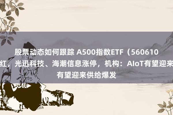 股票动态如何跟踪 A500指数ETF（560610）收盘飘红，光迅科技、海潮信息涨停，机构：AIoT有望迎来供给爆发