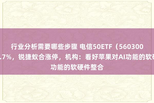 行业分析需要哪些步骤 电信50ETF（560300）涨超1.7%，锐捷蚁合涨停，机构：看好苹果对AI功能的软硬件整合