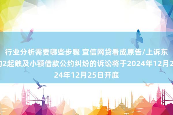 行业分析需要哪些步骤 宜信网贷看成原告/上诉东说念主的2起触及小额借款公约纠纷的诉讼将于2024年12月25日开庭