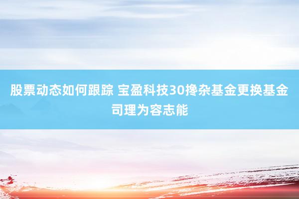 股票动态如何跟踪 宝盈科技30搀杂基金更换基金司理为容志能