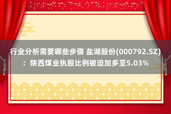 行业分析需要哪些步骤 盐湖股份(000792.SZ)：陕西煤业执股比例被迫加多至5.03%