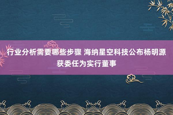 行业分析需要哪些步骤 海纳星空科技公布杨明源获委任为实行董事