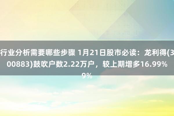 行业分析需要哪些步骤 1月21日股市必读：龙利得(300883)鼓吹户数2.22万户，较上期增多16.99%