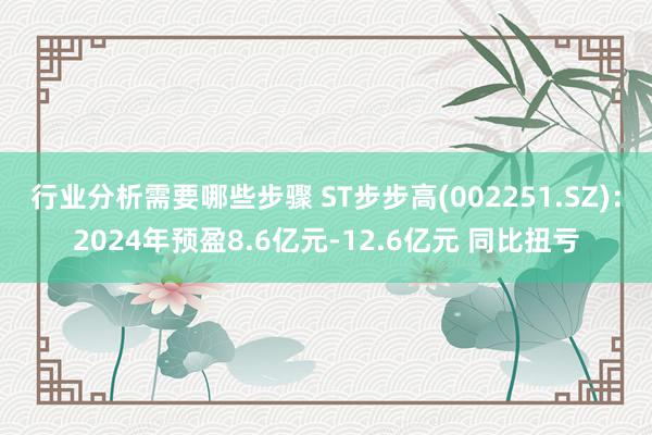 行业分析需要哪些步骤 ST步步高(002251.SZ)：2024年预盈8.6亿元-12.6亿元 同比扭亏