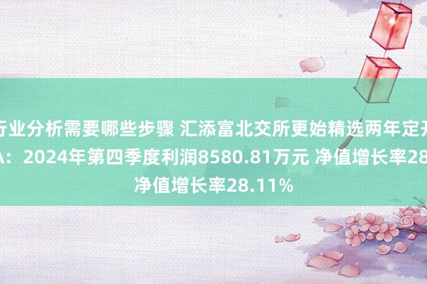 行业分析需要哪些步骤 汇添富北交所更始精选两年定开羼杂A：2024年第四季度利润8580.81万元 净值增长率28.11%