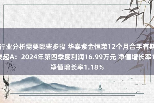 行业分析需要哪些步骤 华泰紫金恒荣12个月合手有期搀杂发起A：2024年第四季度利润16.99万元 净值增长率1.18%