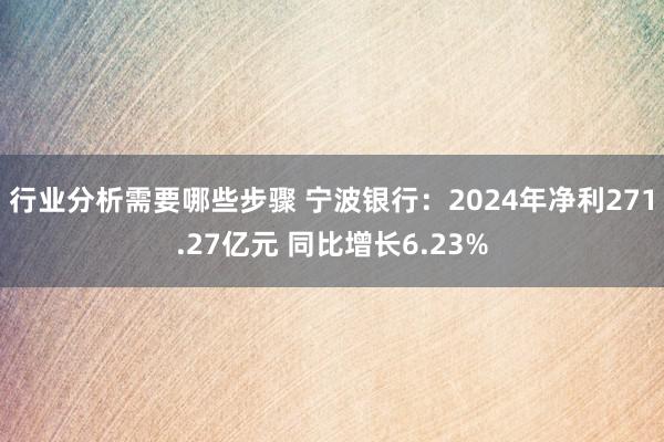 行业分析需要哪些步骤 宁波银行：2024年净利271.27亿元 同比增长6.23%