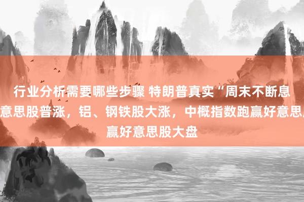 行业分析需要哪些步骤 特朗普真实“周末不断息”，好意思股普涨，铝、钢铁股大涨，中概指数跑赢好意思股大盘