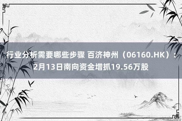 行业分析需要哪些步骤 百济神州（06160.HK）：2月13日南向资金增抓19.56万股