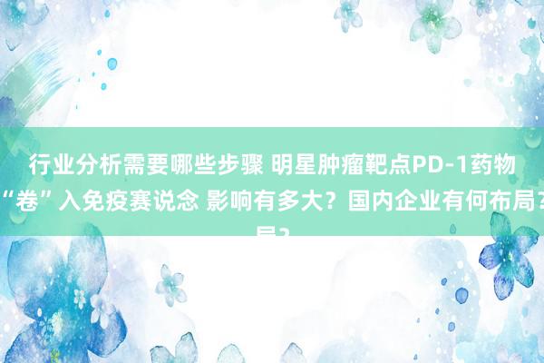 行业分析需要哪些步骤 明星肿瘤靶点PD-1药物“卷”入免疫赛说念 影响有多大？国内企业有何布局？