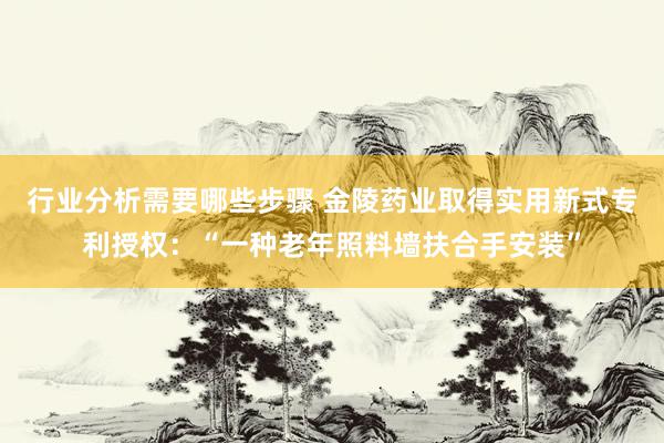 行业分析需要哪些步骤 金陵药业取得实用新式专利授权：“一种老年照料墙扶合手安装”