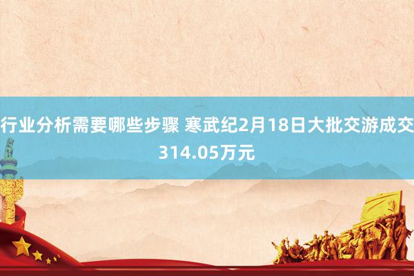 行业分析需要哪些步骤 寒武纪2月18日大批交游成交314.05万元