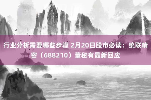 行业分析需要哪些步骤 2月20日股市必读：统联精密（688210）董秘有最新回应