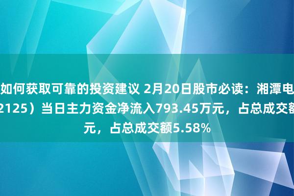 如何获取可靠的投资建议 2月20日股市必读：湘潭电化（002125）当日主力资金净流入793.45万元，占总成交额5.58%