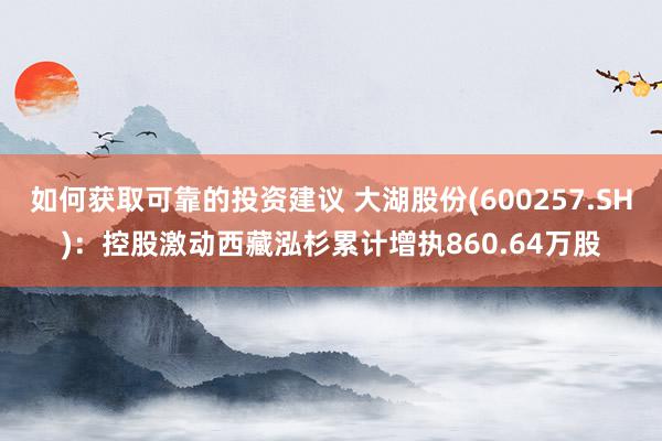 如何获取可靠的投资建议 大湖股份(600257.SH)：控股激动西藏泓杉累计增执860.64万股