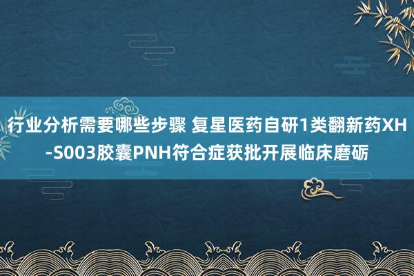 行业分析需要哪些步骤 复星医药自研1类翻新药XH-S003胶囊PNH符合症获批开展临床磨砺